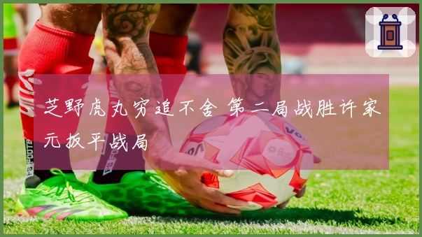 芝野虎丸穷追不舍 第二局战胜许家元扳平战局