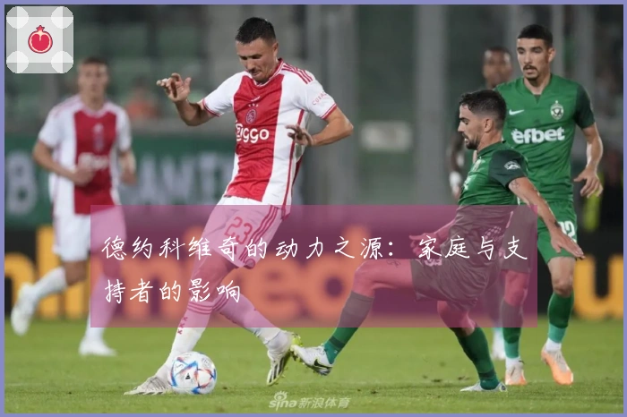 德约科维奇的动力之源：家庭与支持者的影响