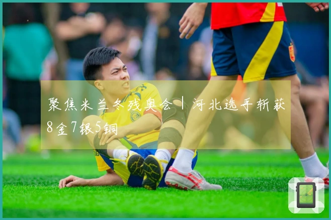 聚焦米兰冬残奥会｜河北选手斩获8金7银5铜