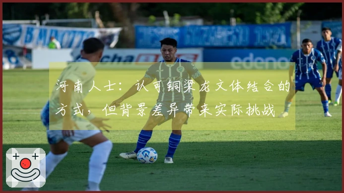 河南人士：认可铜梁龙文体结合的方式，但背景差异带来实际挑战